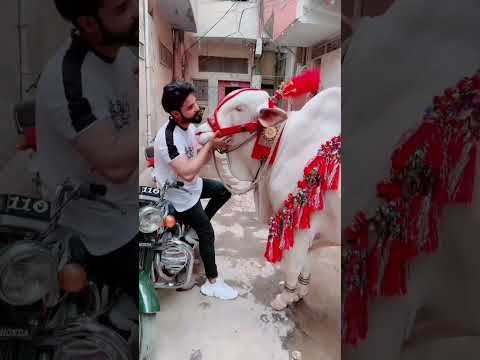 گزرا ہوا حسین وقت 🥹
