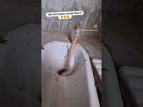 ye to saap hai 😅😂🤣#shortvideo #funnyvideo