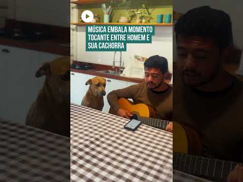 Vídeo de cachorra ouvindo atentamente o dono tocar violão encanta a web! 😮🐶🥰