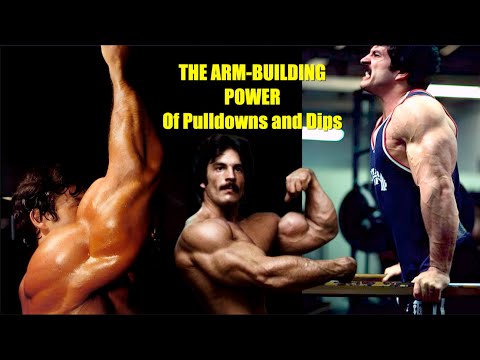 MIKE MENTZER: THE ARM BUILDING POWER OF PULLDOWNS AND DIPS #mikementzer  #training #gym #motivation