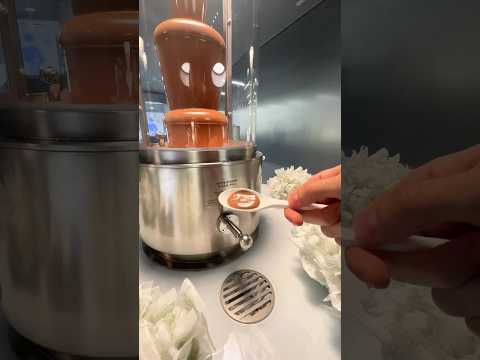 The World's Largest Chocolate Museum