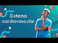 Cardiovascular System Concepts
