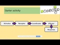 Tropisms and Movement Responses