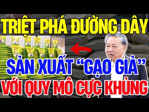 Bí Ẩn Gạo Giả, Sữa Giả: Sự Thật Đằng Sau Bữa Cơm Nhà Bạn  | Vấn Đề Cơ Bản