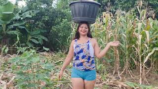 TREMENDAS MASORCAS