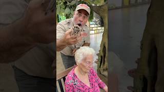 Spider Prank Gone Wrong 😱 @JayPrehistoricPetsTV