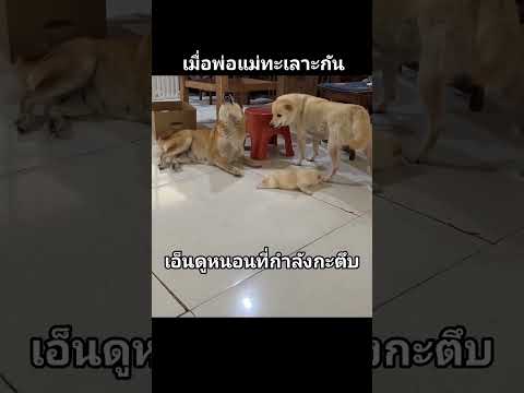 พ่อแม่ทะเลาะกัน ความทรมานใจตกอยู่ที่ลูก