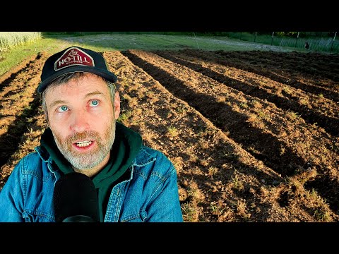 Fighting Clay with Raised Beds? + Efficient Mixed Lettuce