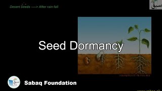 Seed Dormancy