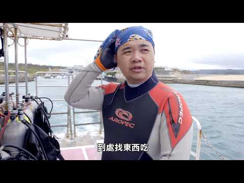 海洋裡的軟珠寶－五花八門海蛞蝓 - YouTube