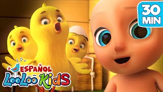 🐥 Los Pollitos y Otra Canciones Infantiles | 30 Minutos Nonstop | LooLoo Kids