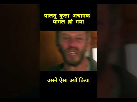 लड़की ने कुत्ते को छुआ, फिर जो हुआ... रूह कांप उठी! #shorts