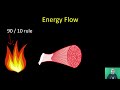 Ecosystem Energy Flow Concepts