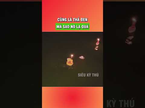 Cũng là thả đèn, mà sao nó lạ thế nhỉ #shorts
