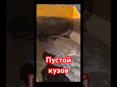 Штраф за перегруз #дальнобойщики #дальнобой #грузоперевозки #водитель #грузовик #дорога #фура #камаз