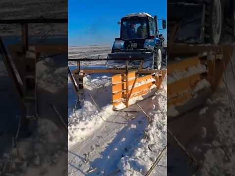 ТРАКТОР МТЗ ПАШЕТ СНЕГ. ЗАЧЕМ? #трактор #mtz #сельскоехозяйство #силос #беларус