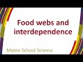 Ecosystem Interdependence and Food Chains