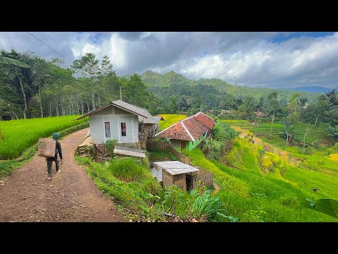 Ini Yang Akan Dilihat Saat Pagi Hari Di Desa, Bikin Betah. Suasana Pedesaan Jawa Barat Garut Selatan