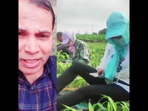 হায়রে আরাম মোবাইল টিপে আর কাজ করে