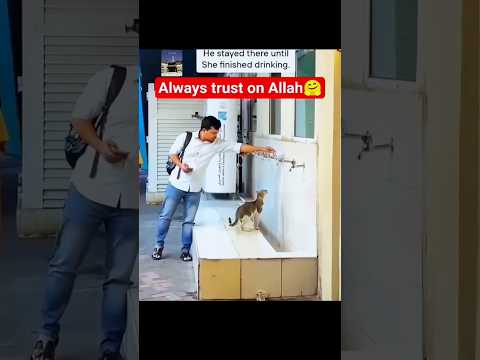 Always Trust In Allah 🥺✨☝️#viral #shorts