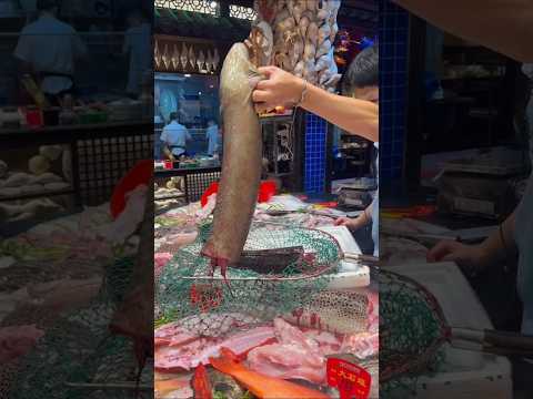 giant moray eel cutting skills video #fishing #fish #seafood