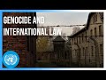 Post-Holocaust Human Rights Commitments