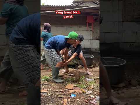 lihat yang lewat jadi darurat #shortviral #comedy #ngakak #lucu #yonanbarakatak