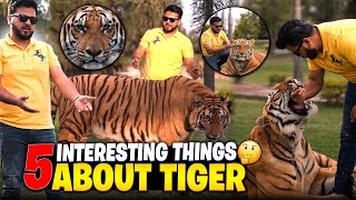 5 interesting Facts About Tiger | Tiger ny Hand Pr Bite Kr di 😥 | Nouman Hassan