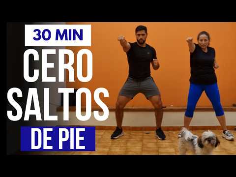 ejercicios para abdomen y cintura  en casa 🔥 abdominales y cardio sin saltos y de pie