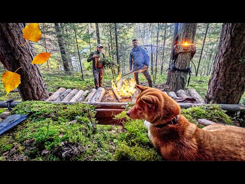 BUILDING a SURVIVAL CAMP with NO FOOD & WATER - wilderness survival and camping