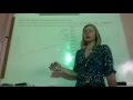 Scatter Plot Analysis and Interpretation