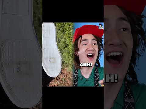 Quando ganho um animal de estimação... I Falaidearo#shorts#fyp#foryou#funny#acting#pov