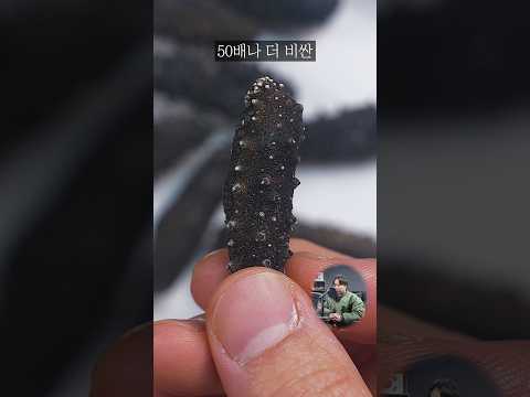 이게 150만 원이라고?????