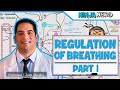 Respiratory Control Mechanisms