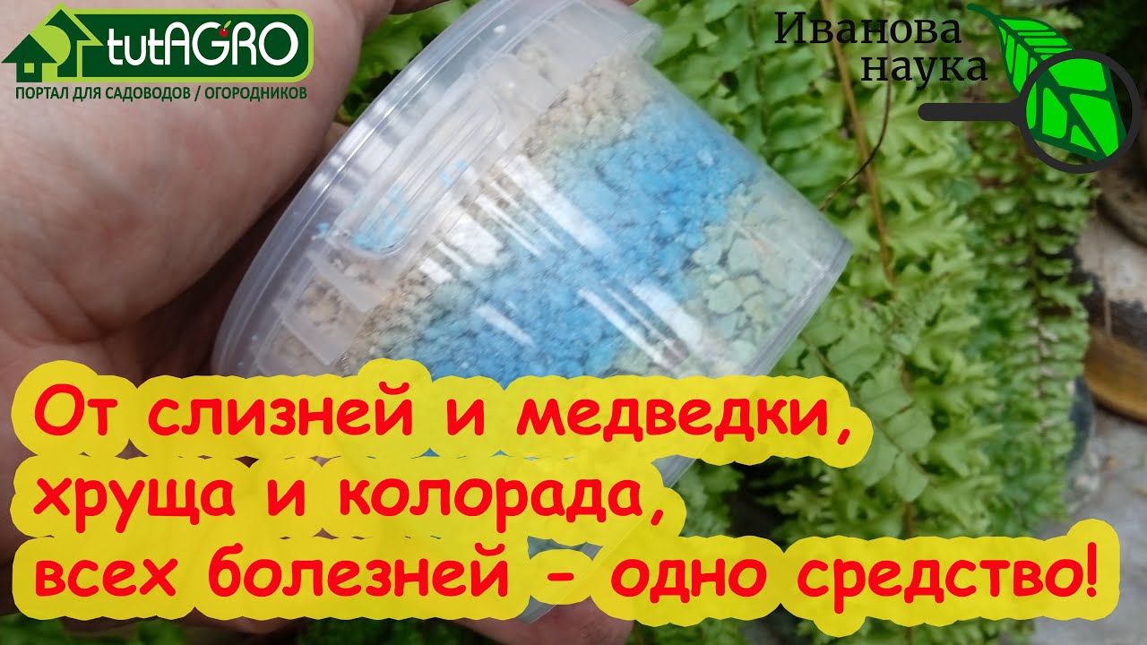 Рассада и урожай растут сами по себе, если раз добавить Мозаика-КМЕ!