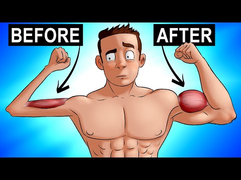 Best Bicep Tricep Workout Routines Jobs Ecityworks