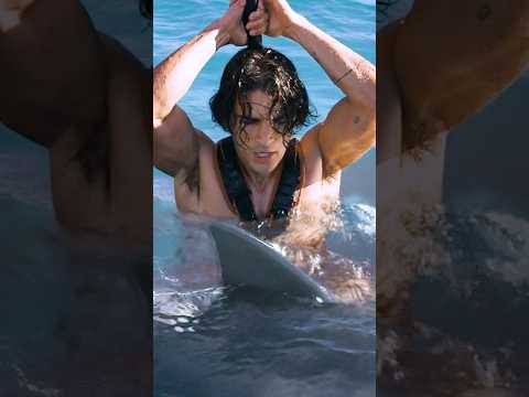 Don’t move... if I see a shark? Seriously?