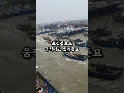 중국 어선들이 우리 바다를 다 쓸어가는 방법