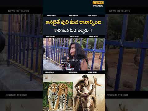 వామ్మో ఎవరమ్మా నువ్వు..? Mahesh Babu Varanasi to The World | SS Rajamouli