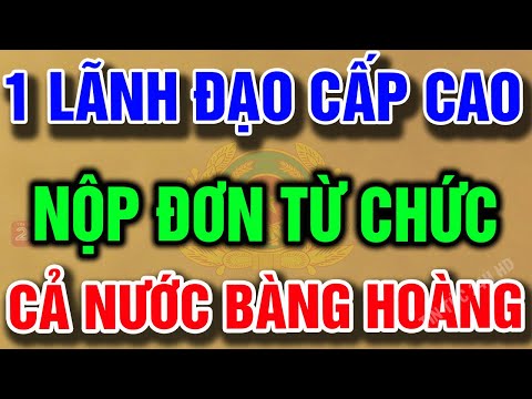 Tin tức ĐẶC BIỆT mới nhất ngày 2/08/2025 I Tin Nóng Chính Trị Việt Nam và Thế Giới✈tintuc24hhd