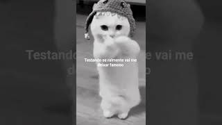 será #viral #shorts