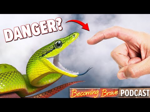Crazy Snake Catch in Thai Jungle!