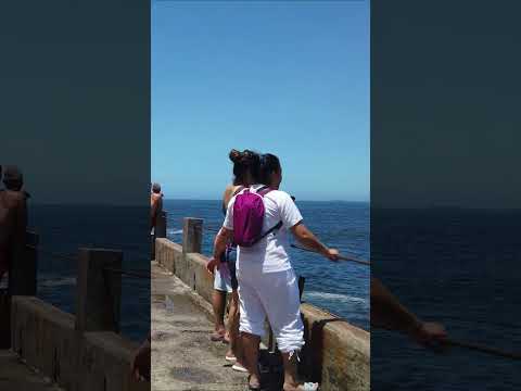 🏝️  Sunny day at the Beach | Rio de Janeiro, Brazil #shorts #beach #brazil