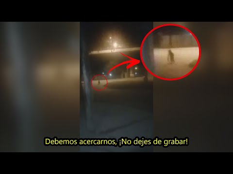 EL IMPACTANTE VÍDEO de un Perro que se Levantó y Empezó a Caminar como Humano