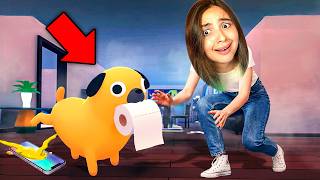 COMO ESSE CACHORRINHO CONSEGUIU DESTRUIR ESSA CASA INTEIRA??