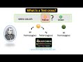 Test Cross and Genotype Analysis