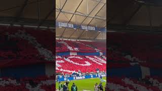 Schalke und der FCN … choreo FC Schalke 04 Fans Ultras Gelsenkirchen.. 1.FC Nürnberg 14.12.25
