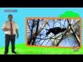 Food Chain Roles and Functions