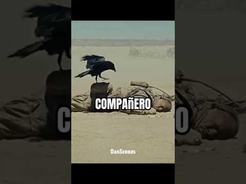 cuando el soldado estaba en graves problemas. #cinematography #movie #shorts
