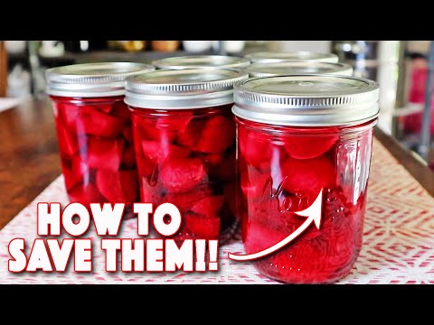 How To Can Beets! (Non-Pickled) Preserve Your Harvests!